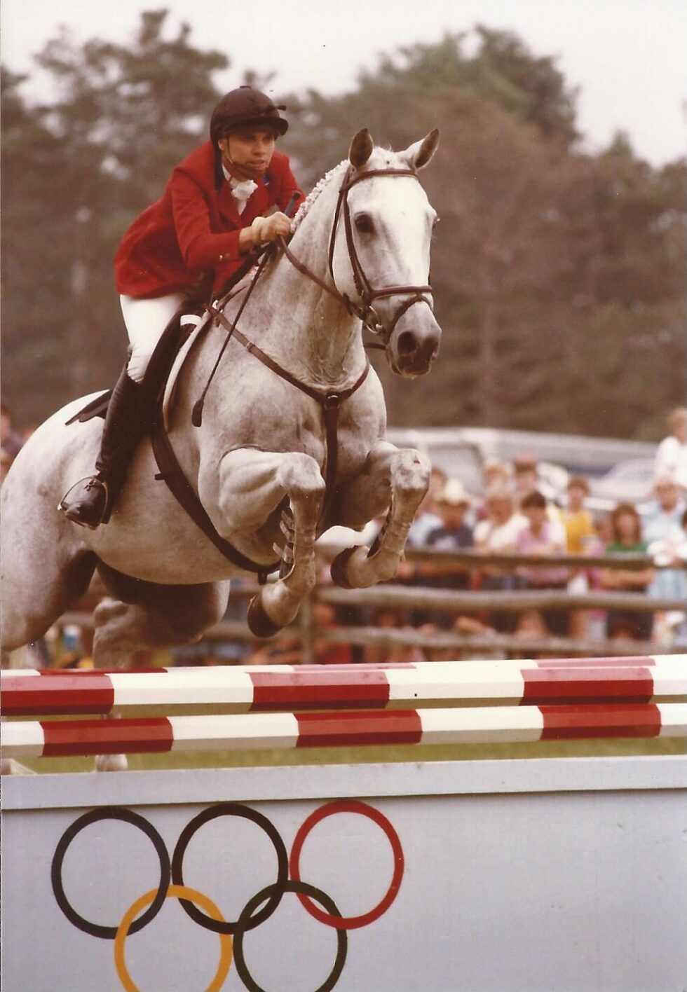 Cross Country Training Tips The Way of the Horse