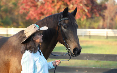 Being a Protective Leader for Your Horse